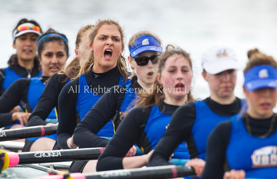 University of British Columbia UBC reserve Womens rowing crew vs the University of Victoria Uvic Women's reserve rowing crew in the 2014 Brown Cup challenge duel race.