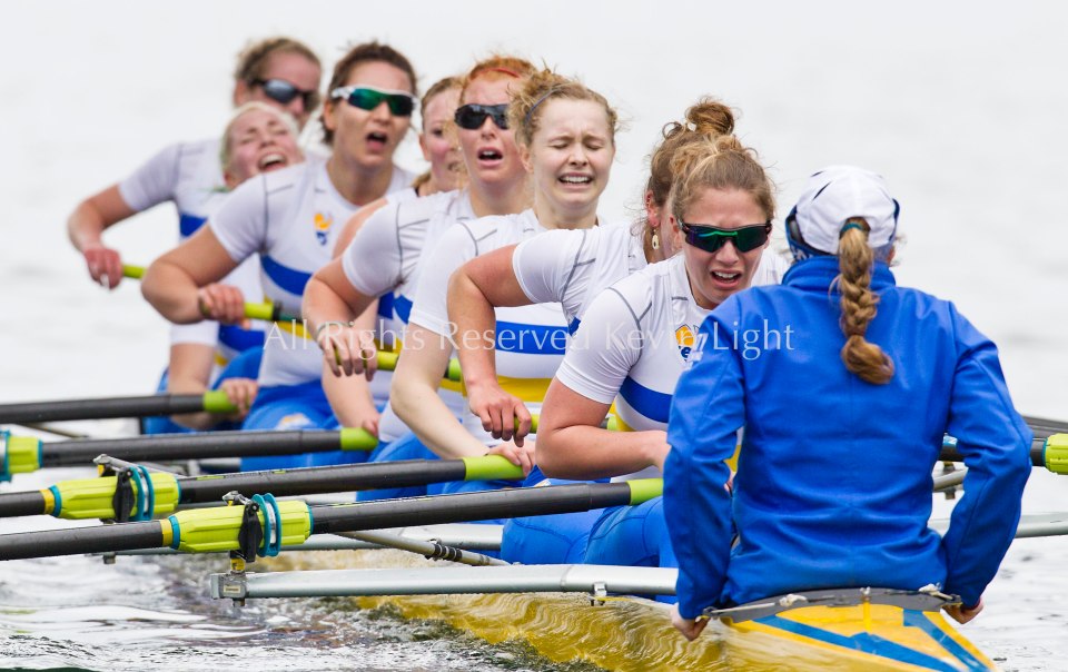 University of British Columbia UBC varsity Womens rowing crew beat the University of Victoria Uvic womens varsity rowing crew in the 2014 Brown Cup challenge duel race.