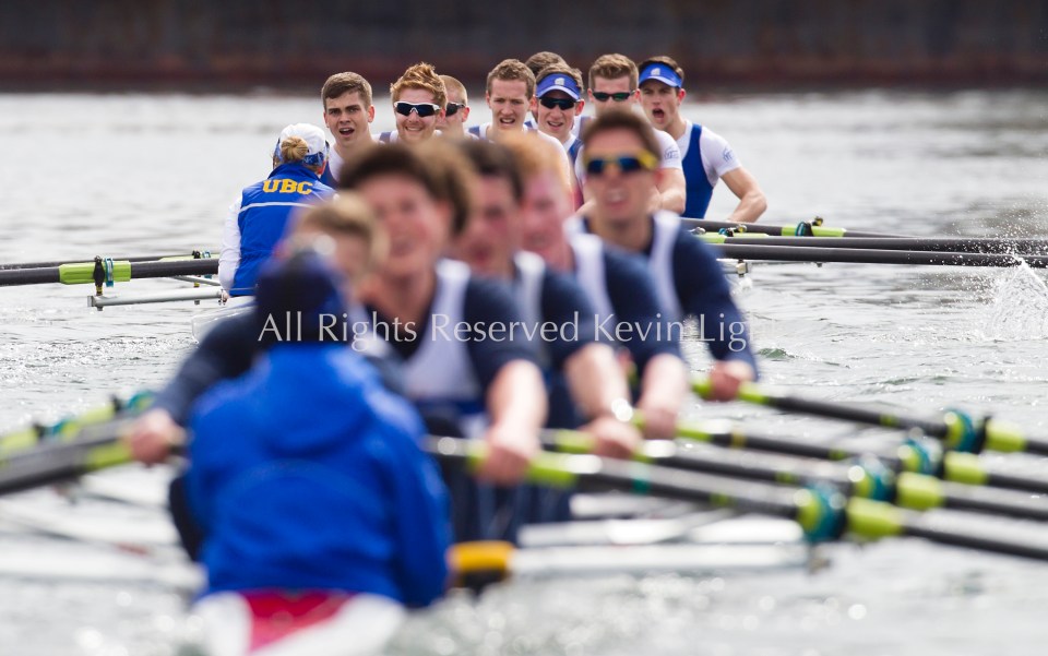 University of British Columbia UBC reserve Mens rowing crew vs the University of Victoria Uvic Mens reserve rowing crew in the 2014 Brown Cup challenge duel race.