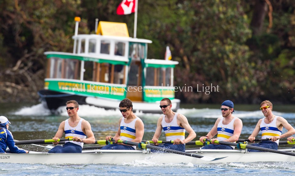 University of British Columbia UBC varsity Mens rowing crew beat the University of Victoria Uvic Mens varsity rowing crew in the 2014 Brown Cup challenge duel race.
