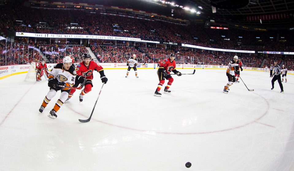 Calgary Flames vs Anaheim Ducks December 29, 2015 ©KevinLightPhoto _31Q0948