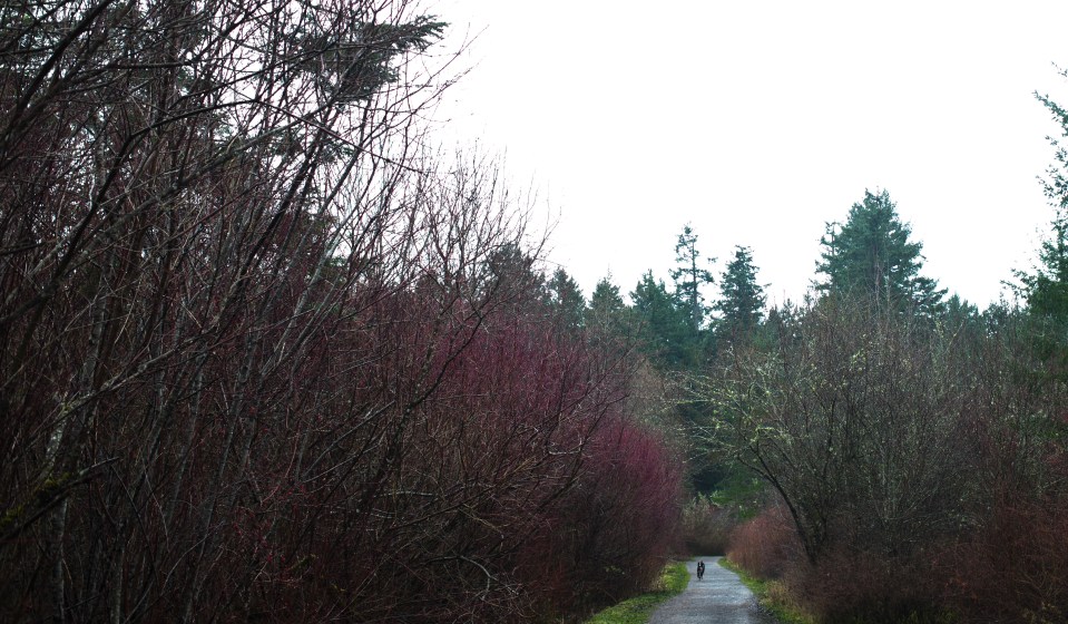 ELk Lake walk with Blue January 19, 2016 ©KevinLightPhoto _31Q4792.CR2