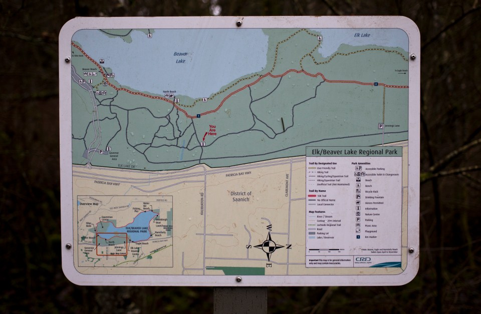 ELk Lake walk with Blue January 19, 2016 ©KevinLightPhoto _31Q4870.CR2