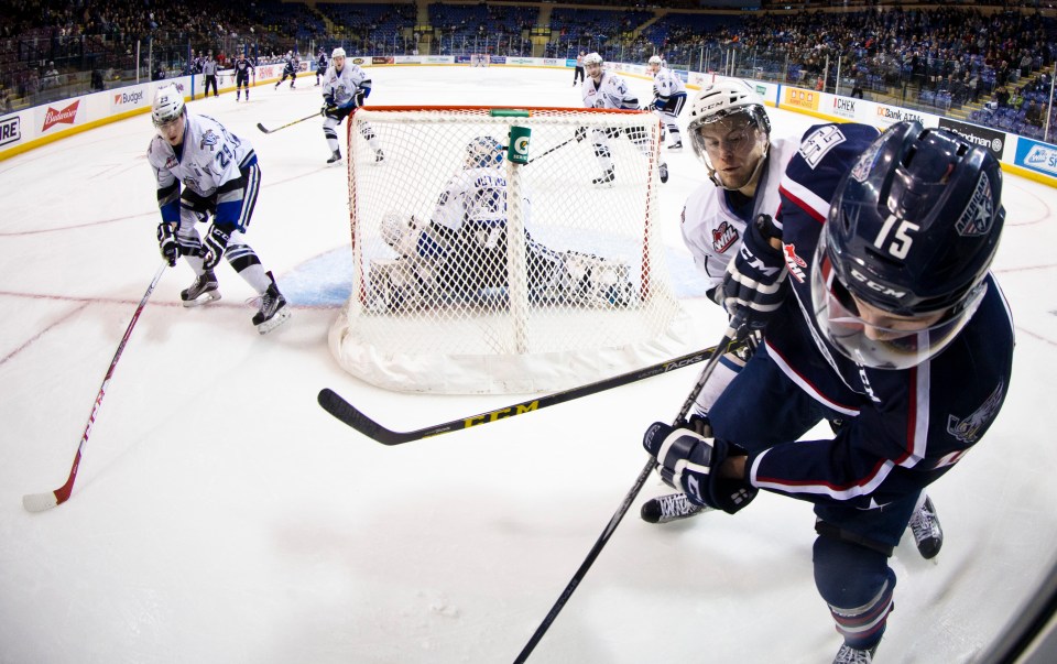 0114 0035 Victoria Royals vs TRi City Americans January 6, 2016 KevinLightPhoto _31Q9469
