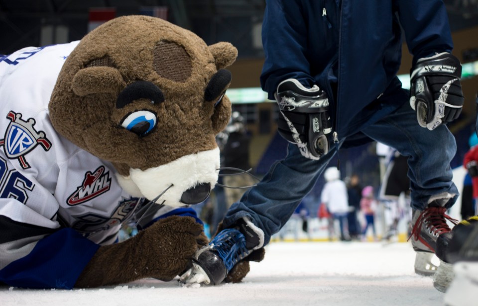 Victoria Royals beat the Everett Silvertips 6-2.