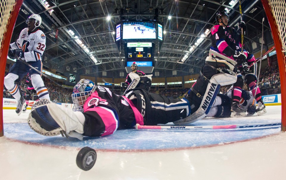 Victoria Royals goaltender Colman Vollrath Kevin LIght Photo