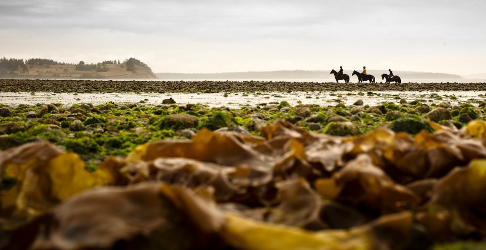 feature-kevinlightphoto_02