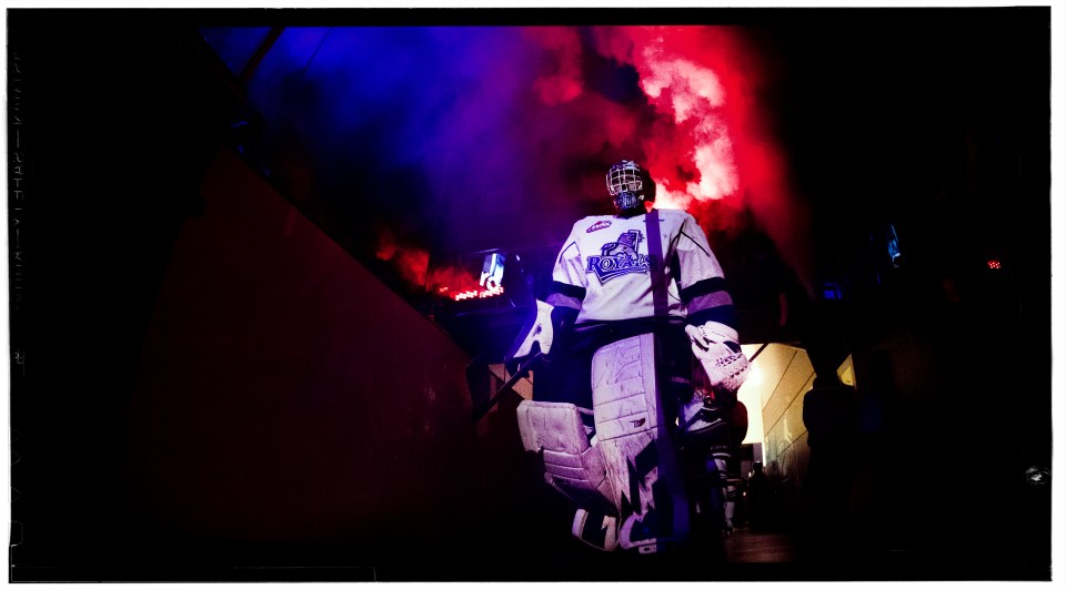 royals-vs-warriors-jan-14-2017-kevinlightphoto-victoria-royals-vs-moose-jaw-warriors-january-14-2017-kevinlightphoto-_evl5035-copy