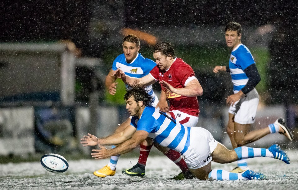 Americas Rugby Championship
