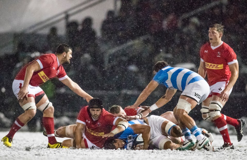 Americas Rugby Championship