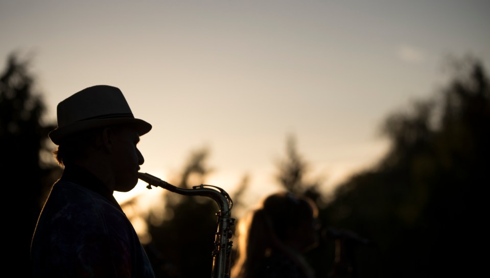 7 Music in Rutledge Park Aug 15, 2017 ©KevinLightPhoto KEVL9970