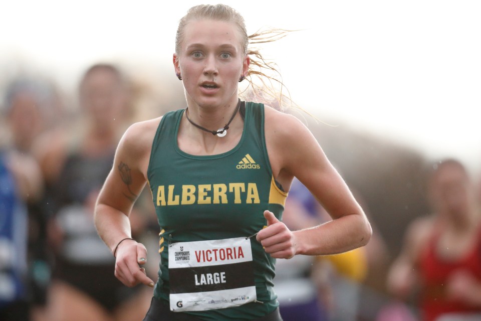 3 Ember Large University of Alberta U SPORTS Cross-Country running Championships ©Kevin Light Photo 03